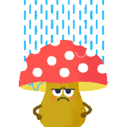 fungo pioggia